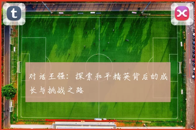 对话王强：探索和平精英背后的成长与挑战之路