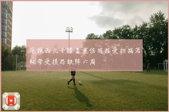 范佩西儿子膝盖重伤将接受扫描若韧带受损恐缺阵六周