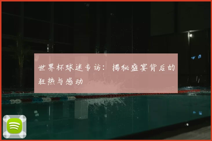 世界杯球迷专访：揭秘盛宴背后的狂热与感动