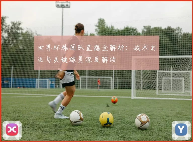 世界杯韩国队直播全解析：战术打法与关键球员深度解读
