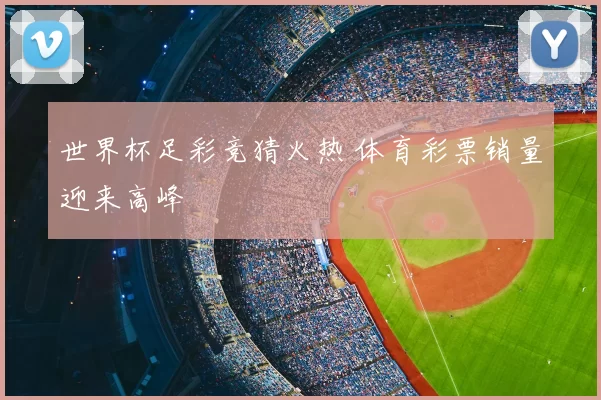 世界杯足彩竞猜火热 体育彩票销量迎来高峰