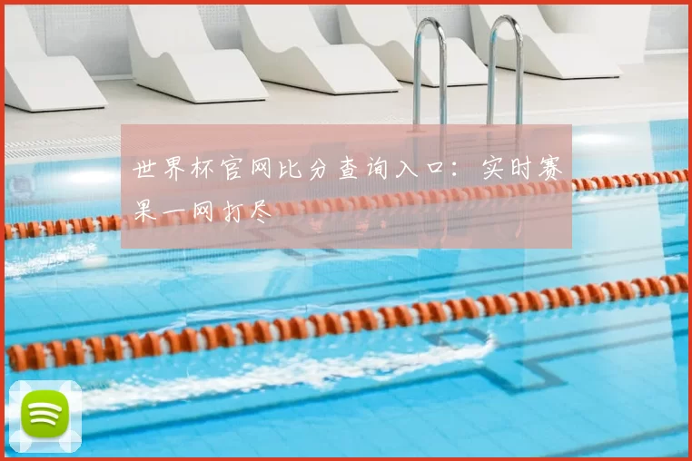 世界杯官网比分查询入口：实时赛果一网打尽