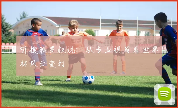听搜狐罗叔说：从专业视角看世界杯风云变幻