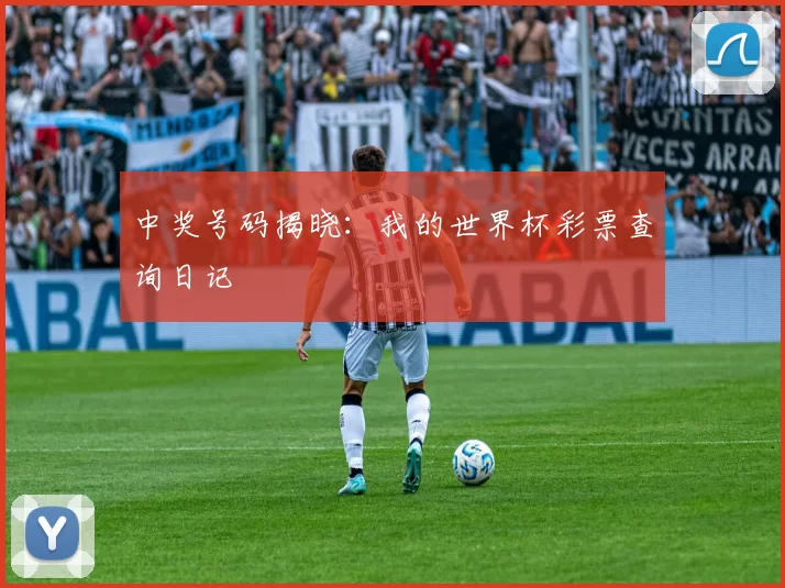 中奖号码揭晓：我的世界杯彩票查询日记
