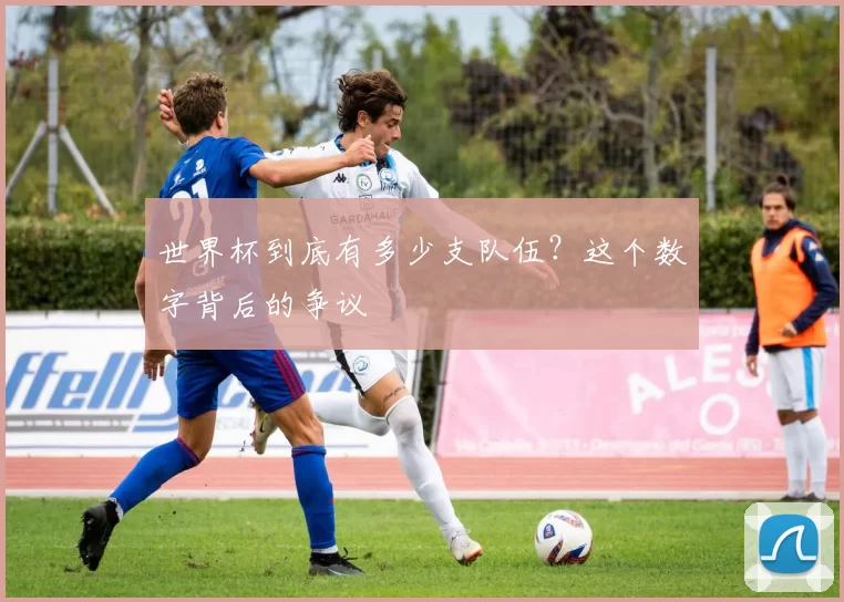 世界杯到底有多少支队伍?这个数字背后的争议