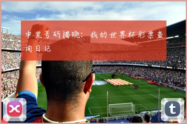 中奖号码揭晓：我的世界杯彩票查询日记