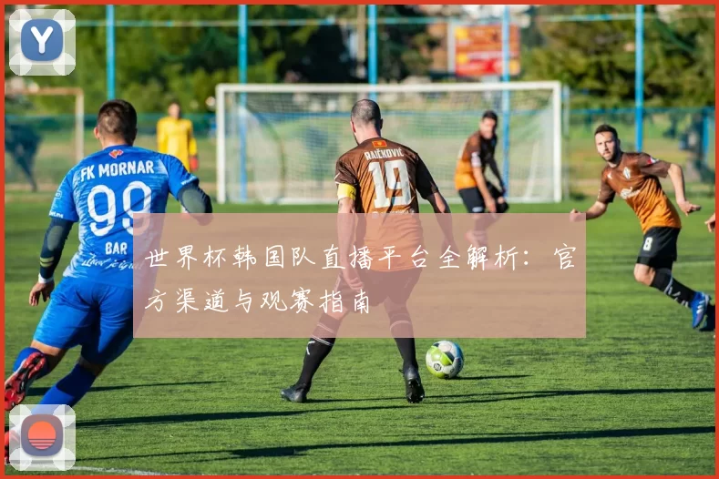 世界杯韩国队直播平台全解析：官方渠道与观赛指南