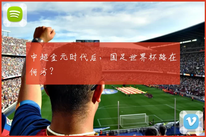 中超金元时代后，国足世界杯路在何方？