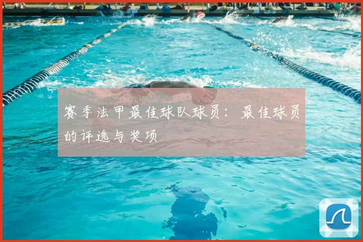 赛季法甲最佳球队球员：最佳球员的评选与奖项