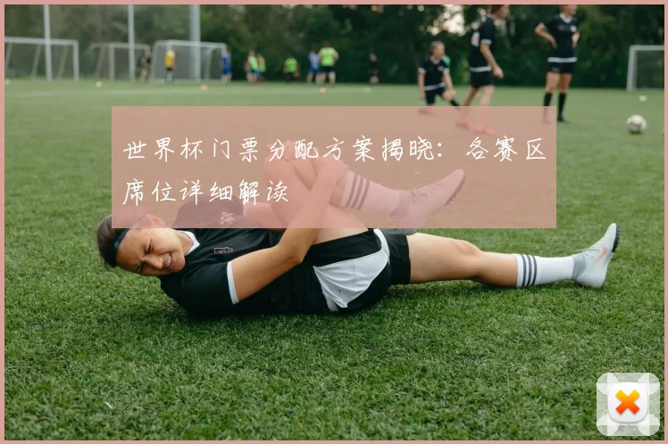 世界杯门票分配方案揭晓：各赛区席位详细解读