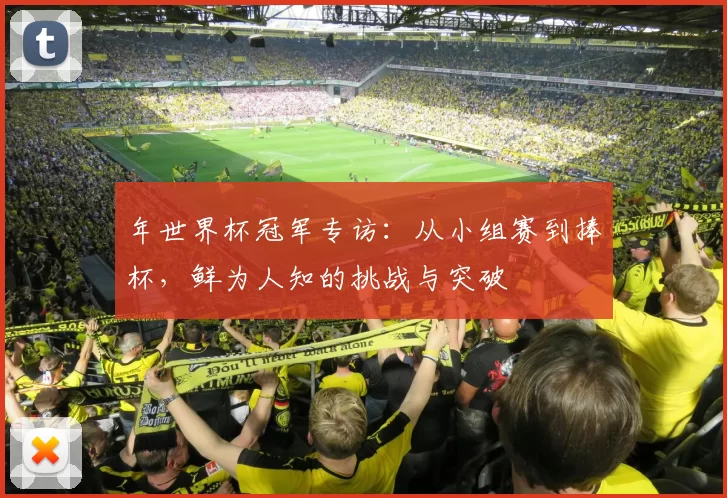 年世界杯冠军专访：从小组赛到捧杯，鲜为人知的挑战与突破